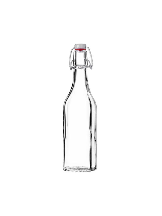 Kadax Glas Wasserflasche mit Clip Transparent 500ml 5 Stücke