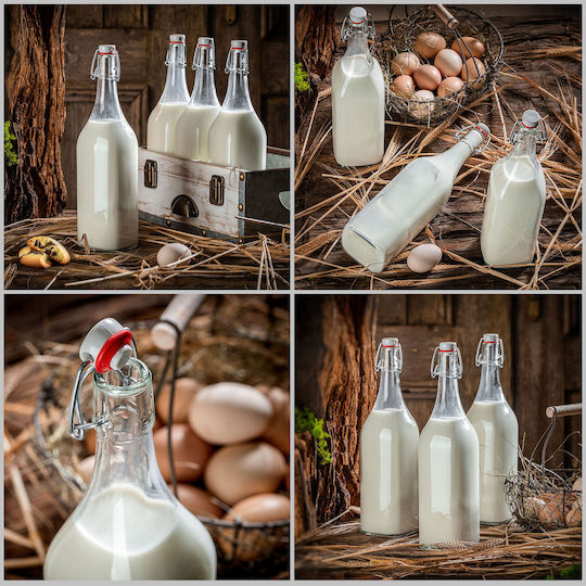 Kadax Kadax Glas Wasser Flasche Mit Clip Transparent 1000ml