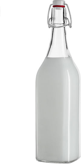 Kadax Kadax Glas Wasser Flasche Mit Clip Transparent 1000ml