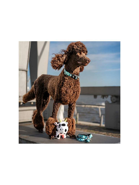 Max Molly Smart Id Κολάρο Σκύλου – Storm Small 1.5cm X 28-45cm Max Molly Smart Id Κολάρο Σκύλου – Storm Small 1.5cm X 28-45cm