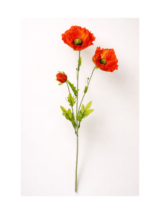 Poppy Flower Orange Stem 0x0x71cm Monochrome Evergreens