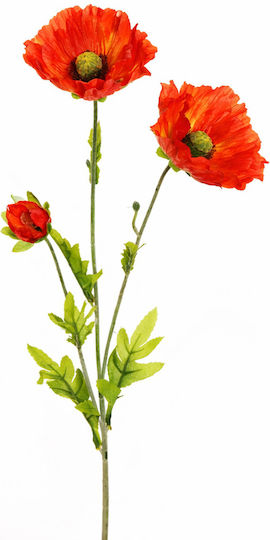 Poppy Flower Orange Stem 0x0x71cm Monochrome Evergreens