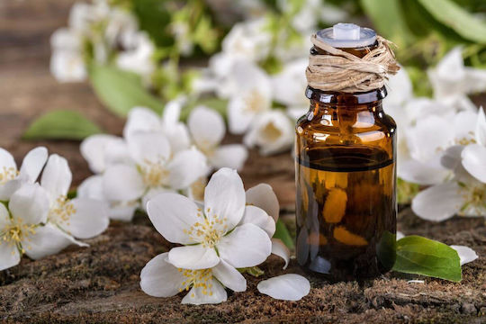 Ancient Wisdom Essential Oil Jasmine 10ml