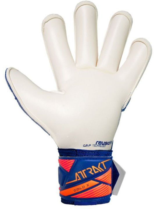 Reusch Torwarthandschuhe Erwachsene Blaue