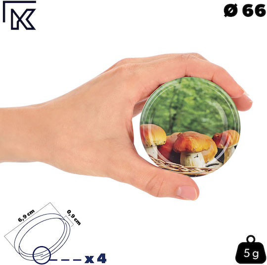 Lids Jars Caps Fi66 Screw Caps Jars 4-clamp 10pcs