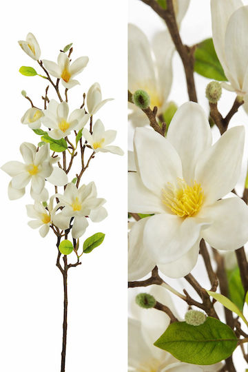 Magnolia Branch White Flowers 0x0x82cm Monochrome Evergreens