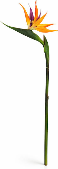 Floare Strelitzia 0x0x85cm Monocromă Evergreens