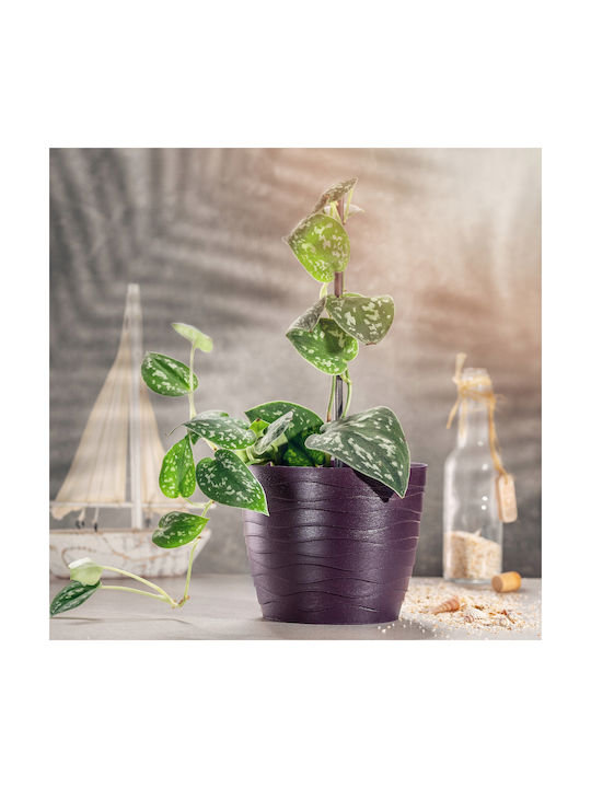 Kadax Plastic Flower Pot Plum 13x13cm