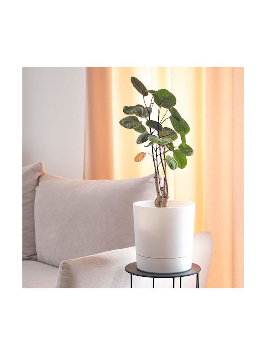 Kadax Kunststoff Blumentopf mit Untersetzer 14,5x14,5cm