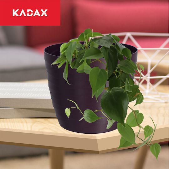 Kadax Ghiveci De Flori Din Plastic Violet 13x13 Cm