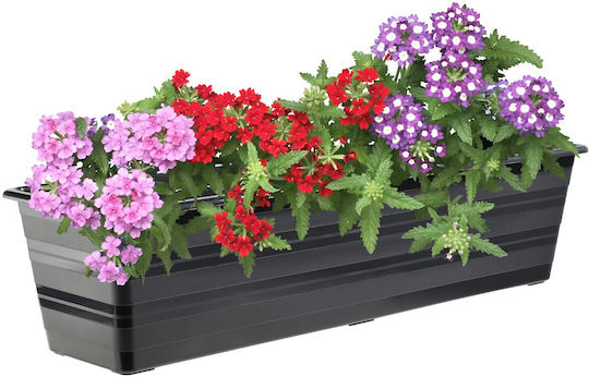 Kadax Set 3 Ghivece de Flori Din Plastic Gri