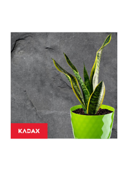 Kadax Σετ 3 Γλάστρες Πλαστικές Green με Πιάτο