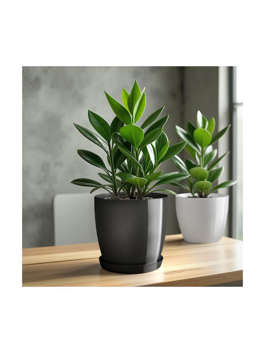 Kadax Set Of 3 Plastic Graphite Flower Pots With Saucer