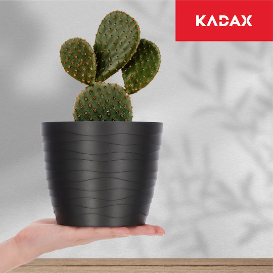 Kadax Kadax Kunststoff Pflanzgefäß Schwarz 15x15cm