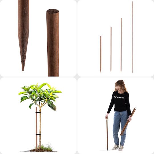 Miză Din Lemn Impregnat Suport Pentru Plante Copaci 80cm Diametru 23mm
