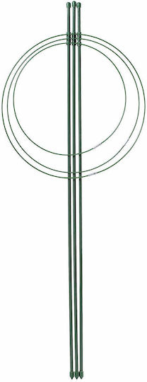 Ring Support Plants Flowers 75 Cm Metal Support Hoops