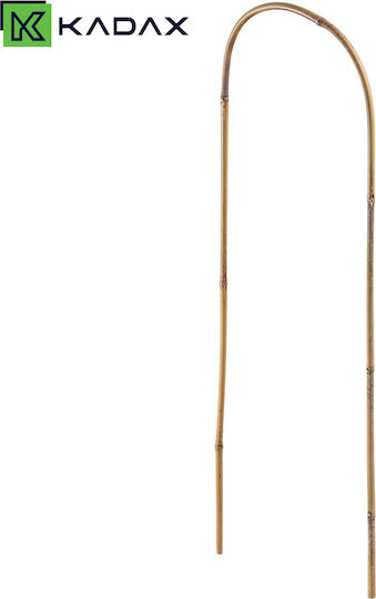 Bambus Ringstütze Für Pflanzen 75 X 15 Cm 1 Stück