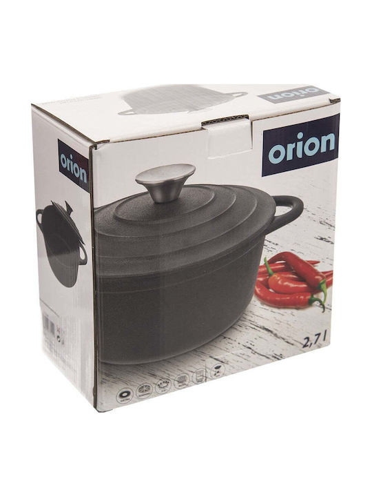 Orion Tiefes Gusseisen Kochtopf aus Mandeimi 2.7l /