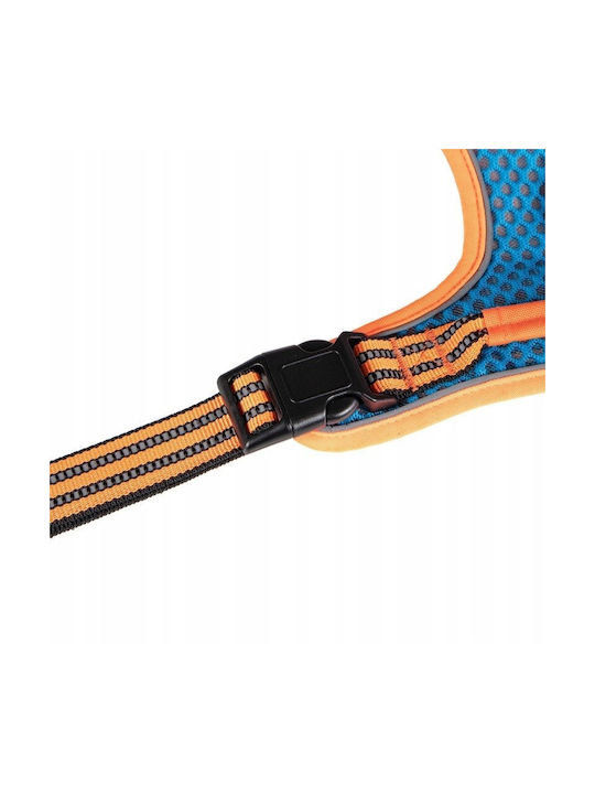Barry King Harness Dog Blue-orange Reflective Size Xs Neck Pad Neck Circumference 31-41cm/chest Circumference 32-50cm Barry King Harness Dog Blue-orange Reflective Size Xs Neck Pad Neck Circumference 31-41cm/chest Circumference 32-50cm