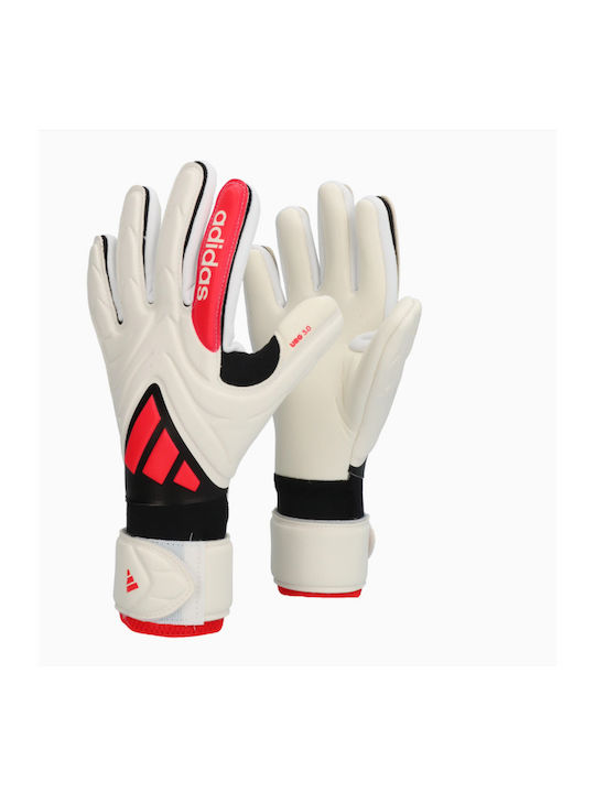 adidas Copa League Kinder Torwarthandschuhe Weiße