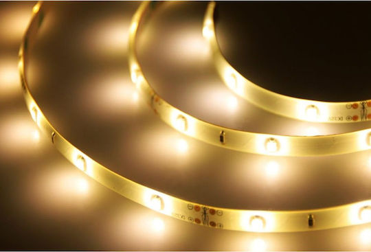 Wasserdicht LED-Streifen 12V Warmes Weiß Licht 1.2m