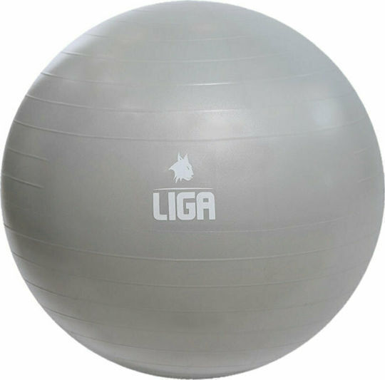 Liga Sport Μπάλα Pilates
