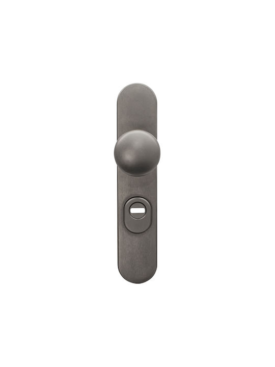 Metal Silver WC Handle