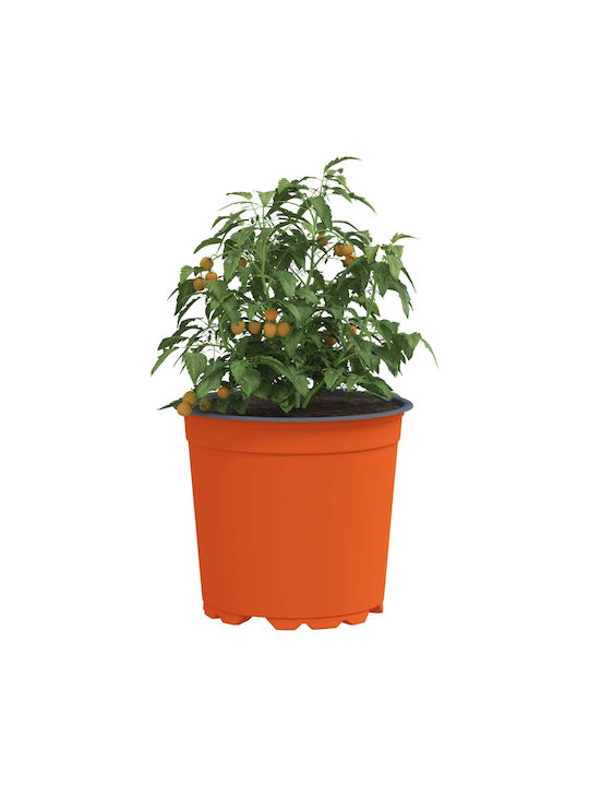 vidaXL Set of 50 Ceramic Flower Pots Orange 15x13cm