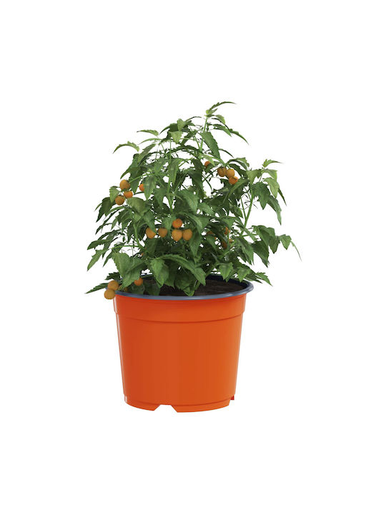 vidaXL Keramik Blumentopf Orange 15x15x12,5cm