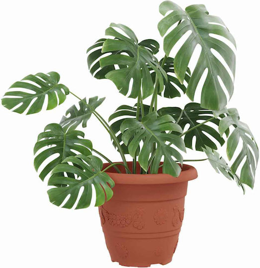 vidaXL Set of 24 Plastic Flower Pots Terracotta 22x18cm
