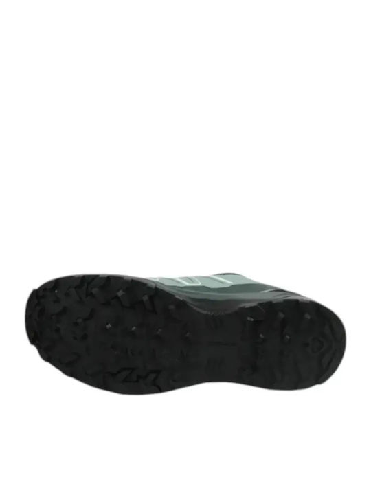 Women's Sneakers Women's