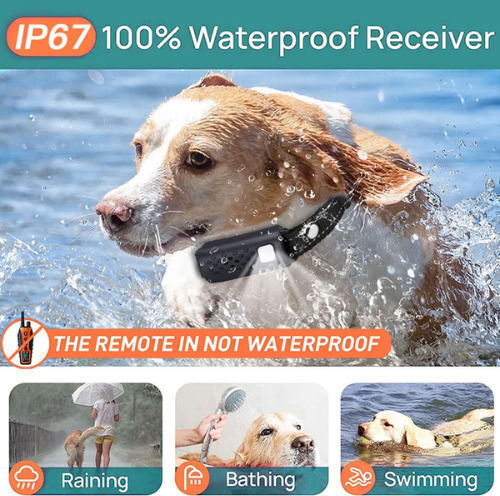 SPV Electric Dog Training Collar with 1000m Range