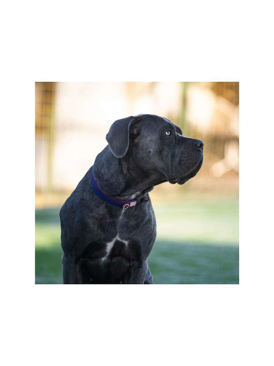 Max Molly Smart Id Κολάρο Σκύλου – Fc Barcelona Small 2.0cm X 28-45cm Max Molly Smart Id Κολάρο Σκύλου – Fc Barcelona Small 2.0cm X 28-45cm