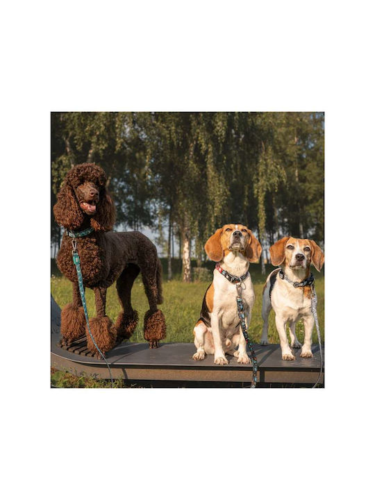 Max Molly Smart Id Κολάρο Σκύλου – Kindergarten Large 2.5cm X 39-62cm Max Molly Smart Id Κολάρο Σκύλου – Kindergarten Large 2.5cm X 39-62cm