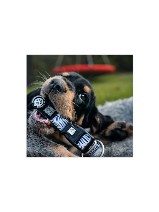 Max Molly Smart Id Dog Collar – Garden Medium 2.0cm X 34-55cm