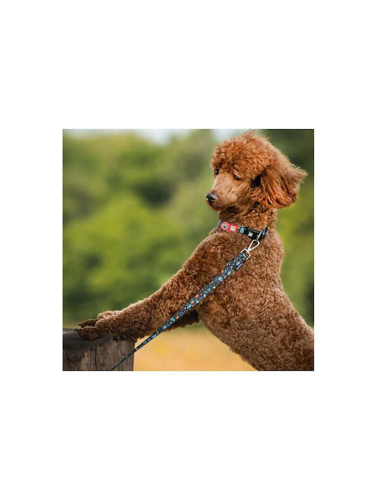 Max Molly Smart Id Dog Collar – Kindergarten Large 2.5cm X 39-62cm