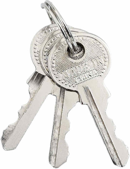 vidaXL Brass Padlock Horseshoe with Key 106mm