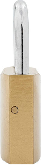 vidaXL Messing Vorhängeschloss mit Schlüssel 43mm 12 Stück