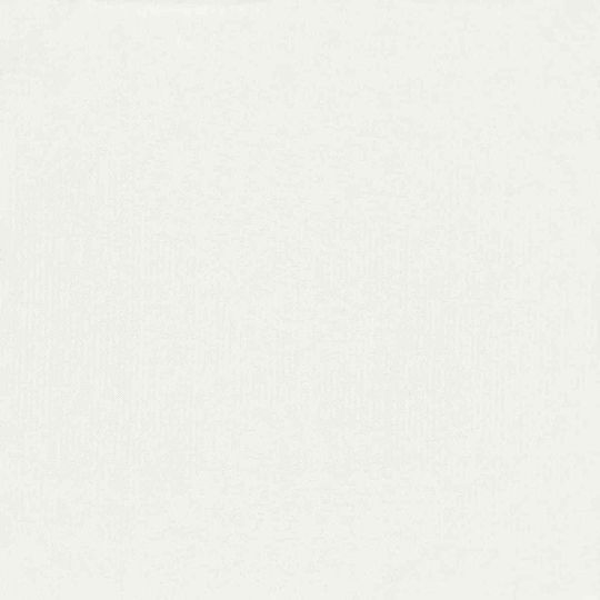 vidaXL Rectangular White Shade Divider 1x5m