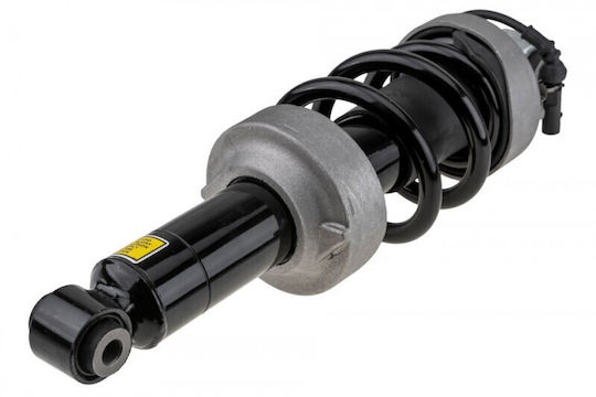 Амортисьор Audi R8 2007-2015 4.2l Купе Audi R8 2007-2015 5.2l Купе Audi R8 Spyder 2010-2015 4.2l Кабриолет