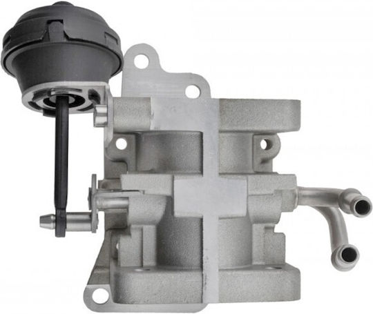Охладител За Връщане На Изгорели Газове Audi A3 2003-2013 1.9l Hatchback Audi A3 Sportback 2004-2015 1.9l Hatchback Seat Altea 2004-0 1.9l Mpv