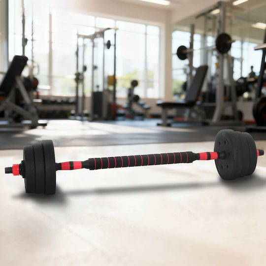 vidaXL Αλτήρες Σετ με Μπάρα Συνολικού Βάρους 20kg με Βάση