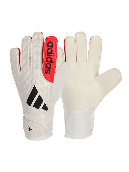 adidas Copa Gl Clb Adults Goalkeeper Gloves White