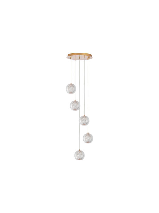 Braytron Pendant Light Gold with Socket G9
