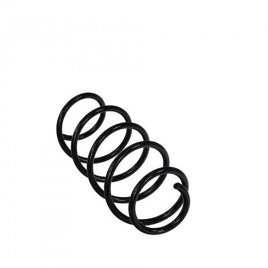 Primăvara Suspensii Auto Mercedes A W169 04 Față 1693212404