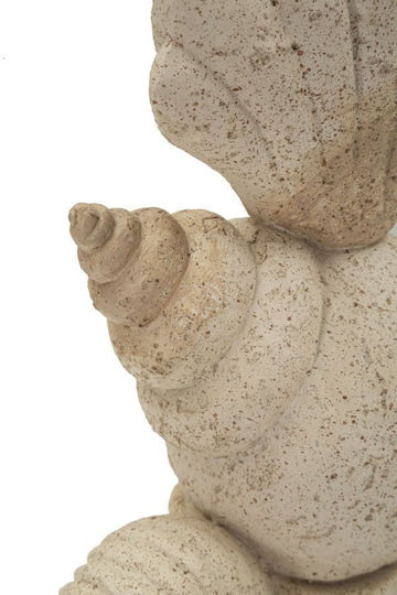 Polyester Seashell Ecru Color 17.2 X 30.2 X 10 Cm