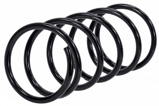 Primăvara Suspensii Auto Ford Focus 98-04 Față 1067134