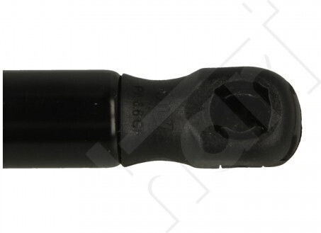 Hart Amooritser Kappo Aposekueon Renault Laguna 1994-2001