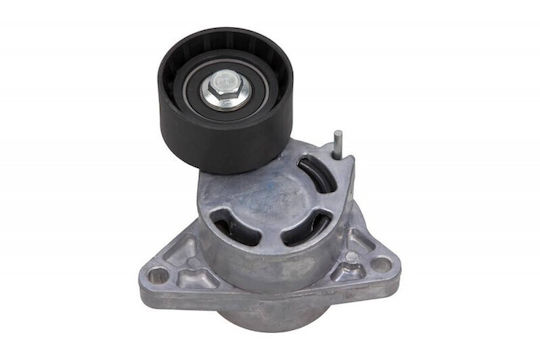Τεντωτήρας Ιμάντα Renault Σφήνας 2,5dci Master Master 55610mg Τροχαλία Ts-103