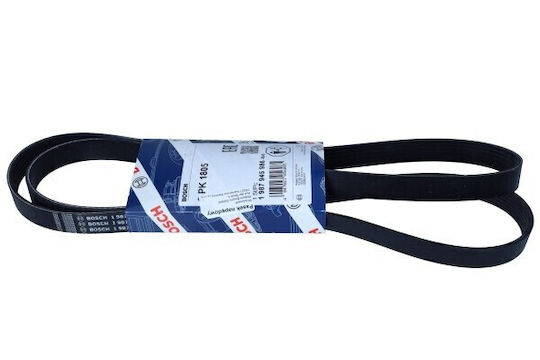 Curea Polifonică 6pk1805
